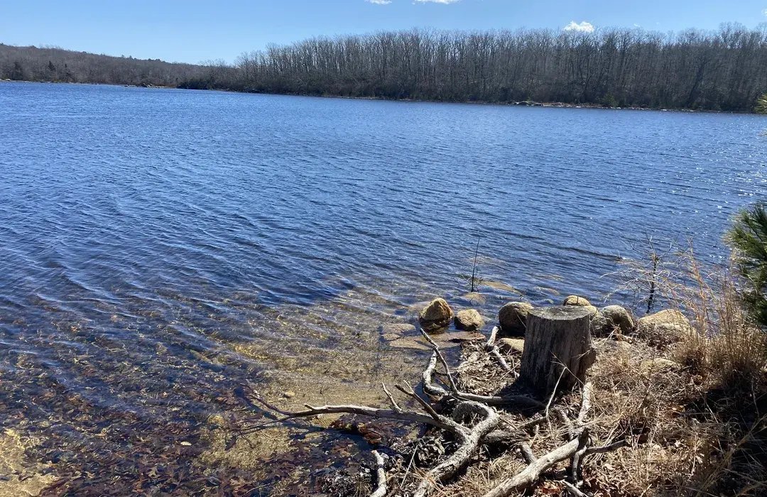 🏞️ 청의 호수(시로가네 아오이이케) 이미지 5